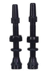 Tubeless Valve